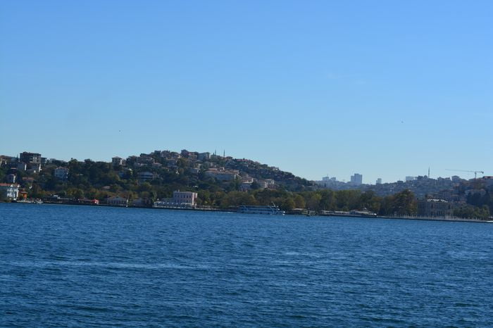 image-.jpg