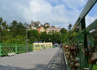 Learning and Warfare in Hungary